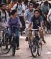 bicis.jpg